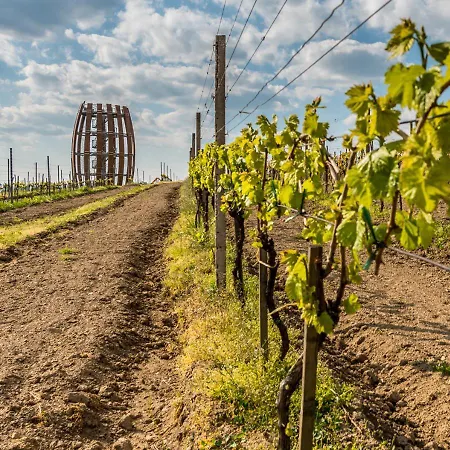Kemp Tokaj Macik Winery *