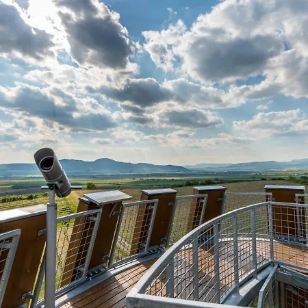 Tokaj Macik Winery *