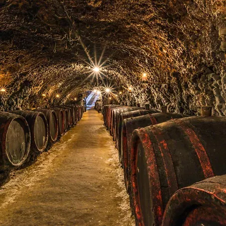 Campsite Tokaj Macik Winery Mala Trna