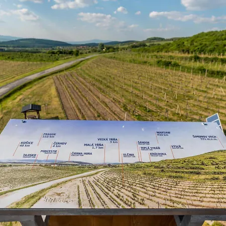 Tokaj Macik Winery Campsite