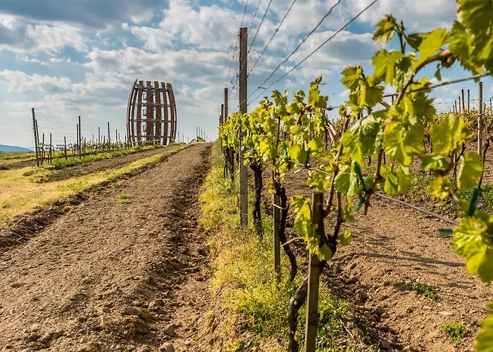 Κάμπινγκ Tokaj Macik Winery *