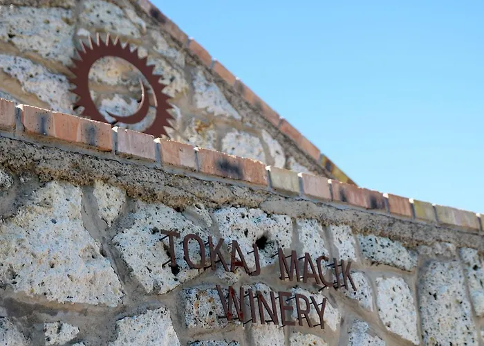 Κάμπινγκ Tokaj Macik Winery *