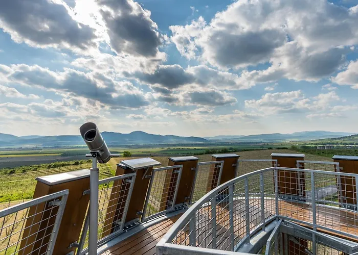 Tokaj Macik Winery *