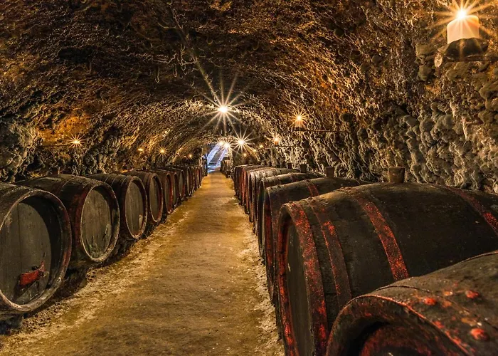 Κάμπινγκ Tokaj Macik Winery Mala Trna