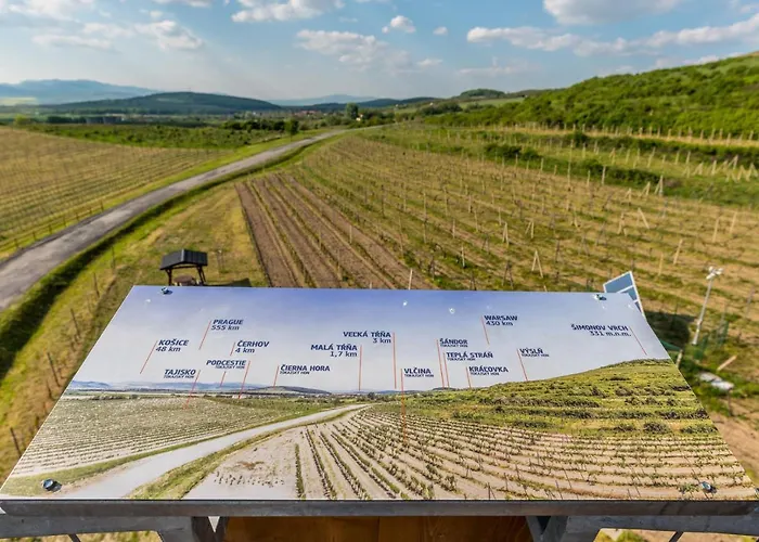 Tokaj Macik Winery Κάμπινγκ