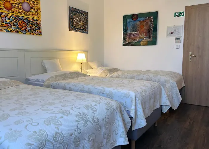 Tokaj Macik Winery *